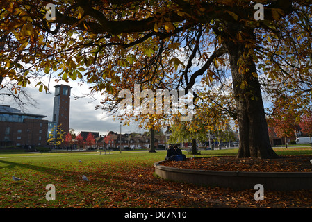 Herbst-Szene in Bancroft Gardens, Stratford Warwickshire, England, Großbritannien Stockfoto