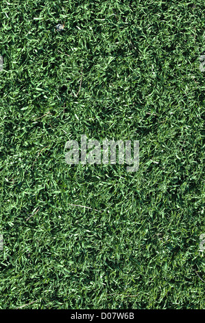 Gefälschte Grass verwendet auf Sportplätzen für Fußball, Baseball und Fußball Stockfoto