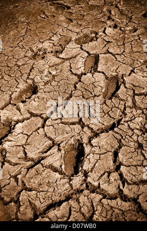 Fußabdrücke in trockene rissige Schlamm Stockfoto