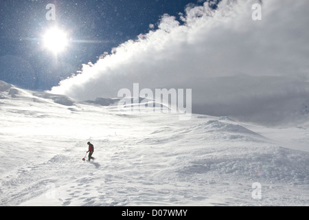 Ski Patroller Spaziergang durch wirbelnden Schnee bei starkem Wind in der Nähe des Gipfels des aktiven Vulkans Mount Ruapehu, Neuseeland. Stockfoto