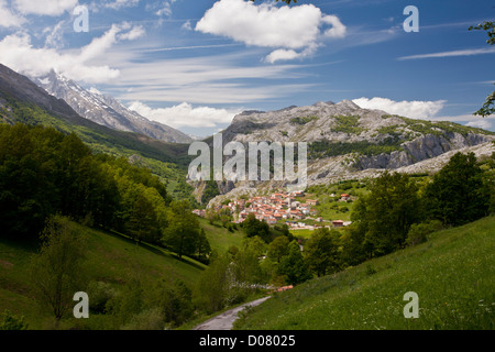 Almen und Wäldern rund um das Dorf von Sotres im Frühjahr; Picos de Europa, Spanien, Europa Stockfoto