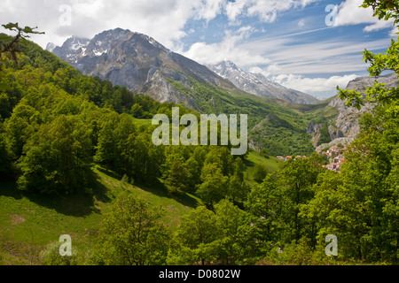 Almen und Wäldern rund um das Dorf von Sotres im Frühjahr; Picos de Europa, Spanien, Europa Stockfoto