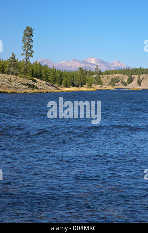 Madison River Valley in der Nähe von Madison, Yellowstone-Nationalpark, Wyoming, USA Stockfoto