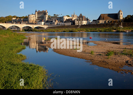 DIE BANKEN-LOIRE GESEHEN VON LA CROIX SAINT-JEAN INSEL BLICK SAINT FLORENTIN KIRCHE KÖNIGLICHEN SCHLOSS STADT AMBOISE INDRE-ET-LOIRE (37) Stockfoto