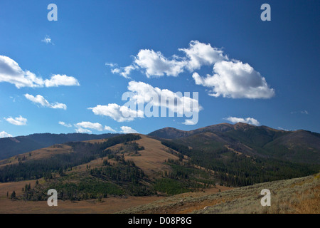 Mount Washburn, Yellowstone-Nationalpark, Wyoming, USA Stockfoto