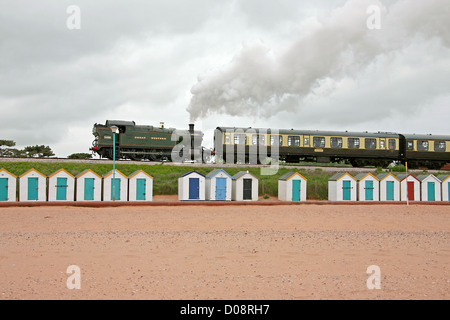 Paignton, Dartmouth Dampfzug Stockfoto