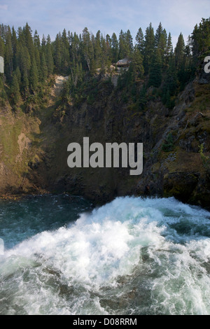 Rande des Upper Falls, Grand Canyon of the Yellowstone River, Yellowstone-Nationalpark, Wyoming, USA Stockfoto