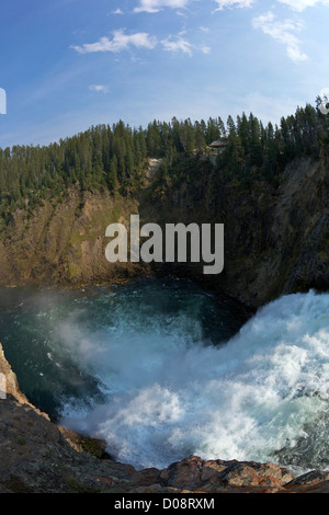 Rande des Upper Falls, Grand Canyon of the Yellowstone River, Yellowstone-Nationalpark, Wyoming, USA Stockfoto