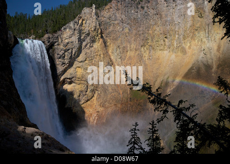 Regenbogen über untere fällt vom Onkel Toms Point, Grand Canyon of the Yellowstone River, Yellowstone-Nationalpark, Wyoming, USA Stockfoto