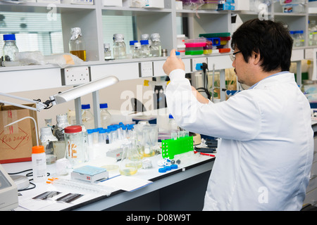 Arbeiten bei Lloret (Institut für biologische, Umwelt- und Rural Sciences), Aberystwyth University Research scientist Stockfoto