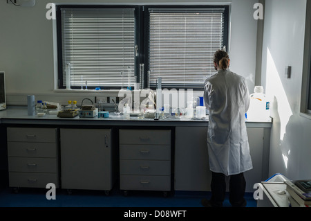 Arbeiten bei Lloret (Institut für biologische, Umwelt- und Rural Sciences), Aberystwyth University Research scientist Stockfoto