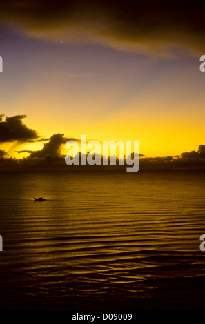 Angelboote/Fischerboote, Fisch, Gemüse, Strände, Sonnenuntergänge, Kokosnuss-Plantagen, Dschungel, Moschee, Kuala Terengganu, Ostküste Malaysia Stockfoto