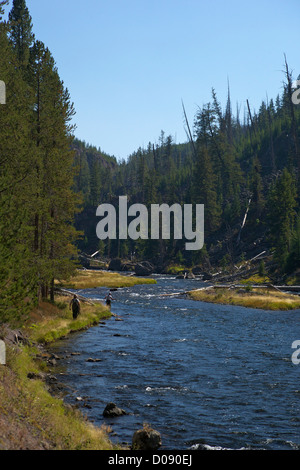 Fischer in Firehole Canyon, Yellowstone-Nationalpark, Wyoming, USA Stockfoto