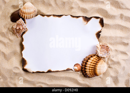 Verbranntes Papier auf dem Sand mit Muscheln Stockfoto