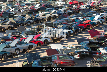 Alexandria, Louisiana - Junk-e-Autos auf einem Schrottplatz. Brauchbare Teile verkauft werden und dann werden die Autos verschrottet werden. Stockfoto