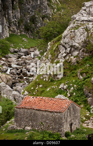 Alte Scheune in der Rio Cares Kalkstein Schlucht, Picos de Europa, Spanien, Europa Stockfoto