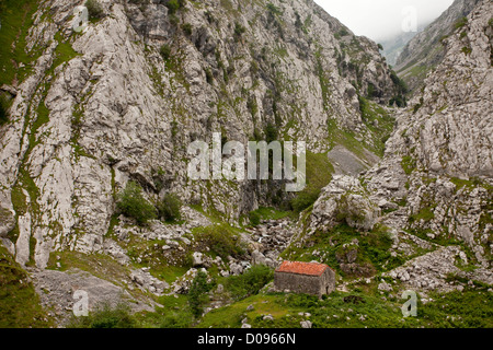 Alte Scheune in der Rio Cares Kalkstein Schlucht, Picos de Europa, Spanien, Europa Stockfoto