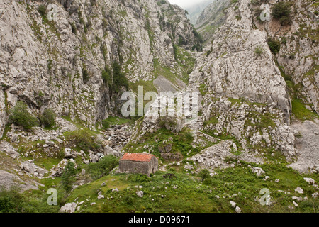 Alte Scheune in der Rio Cares Kalkstein Schlucht, Picos de Europa, Spanien, Europa Stockfoto