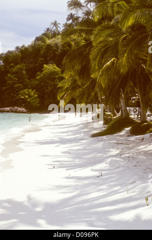 Angelboote/Fischerboote, Fisch, Gemüse, Strände, Sonnenuntergänge, Kokosnuss-Plantagen, Dschungel, Moschee, Kuala Terengganu, Ostküste Malaysia Stockfoto