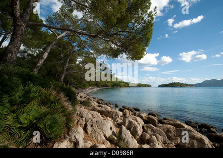 Cala Pi de sa Posada wichtigsten Strand Formentor-Mallorca-Spanien Stockfoto