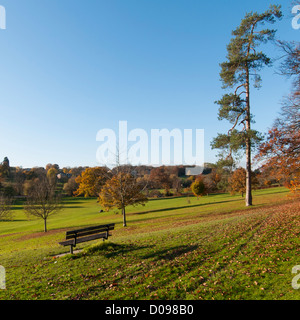 Herbst-Szene in Gadebridge Park, Hemel Hempstead, Hertfordshire, UK. Stockfoto