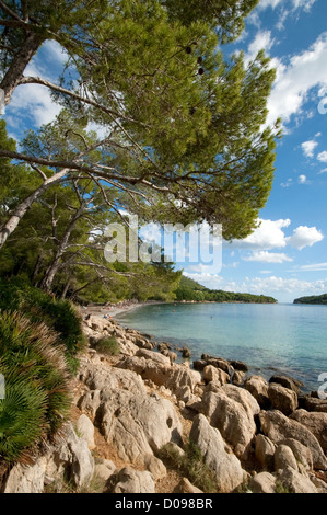 Cala Pi de sa Posada wichtigsten Strand Formentor-Mallorca-Spanien Stockfoto