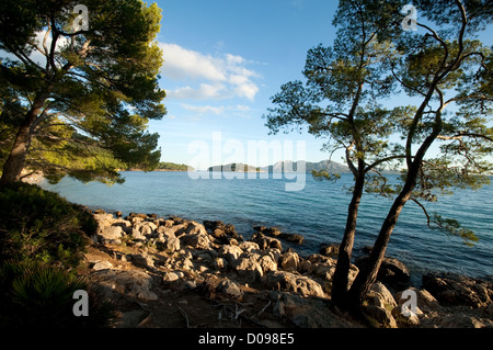 Cala Pi de sa Posada wichtigsten Strand Formentor-Mallorca-Spanien Stockfoto