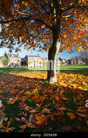 Broadway Village, die Cotswolds. Worcestershire, England, Vereinigtes Königreich. Stockfoto