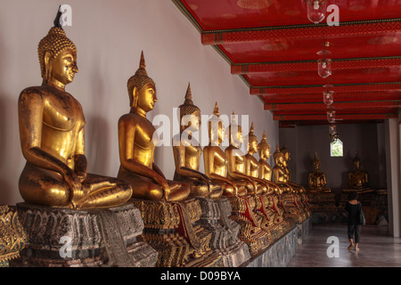 BUDDHA-STATUEN IM INNEREN DER WAT PHO, BANGKOK THAILAND ASIEN AUFGEREIHT Stockfoto