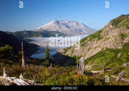 WA06890-00... WASHINGTON - Mount St. Helens und Spirit Lake aus Norwegen Pass in der Mount St. Helens National Volcanic Monument. Stockfoto