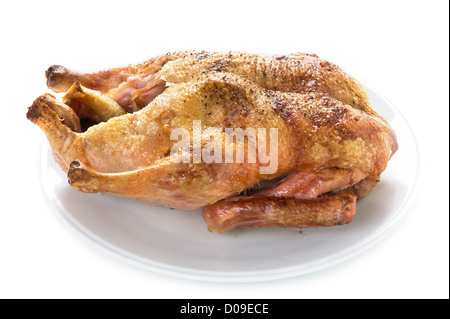 Gressingham-Ente gekocht auf einem weißen Hintergrund isoliert Stockfoto