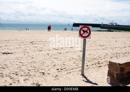 Melden Sie eine "keine Hunde am Strand', La Grande Plage de Quiberon, Bretagne, Frankreich Stockfoto
