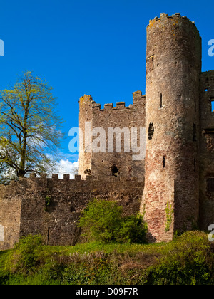 Ruinen des Laugharne Castle in Südengland Carmarthenshire Wales im 12. und 13. Jahrhundert erbaut und im Bürgerkrieg zerstört Stockfoto