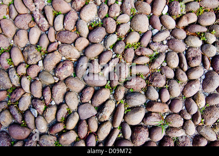 Texturen aus Bergamo Stockfoto