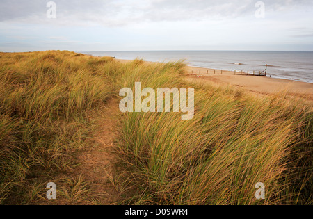 Ein Blick auf den Strand von den Dünengebieten abgedeckt Sanddünen bei Horsey, Norfolk, England, Vereinigtes Königreich. Stockfoto