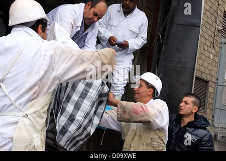 TRADITIONELLEN OPFER SCHAFE WÄHREND AID EL KEBIR FESTIVAL ERSTE DAY FEIERLICHKEITEN IN MUSLIMISCHEN GEMEINSCHAFT ENDE DES RAMADAN Stockfoto