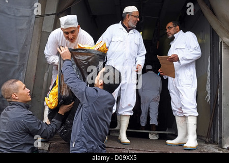 TRADITIONELLEN OPFER SCHAFE WÄHREND AID EL KEBIR FESTIVAL ERSTE DAY FEIERLICHKEITEN IN MUSLIMISCHEN GEMEINSCHAFT ENDE DES RAMADAN Stockfoto