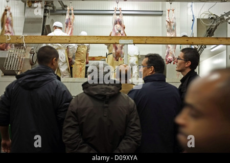 TRADITIONELLEN OPFER SCHAFE WÄHREND AID EL KEBIR FESTIVAL ERSTE DAY FEIERLICHKEITEN IN MUSLIMISCHEN GEMEINSCHAFT ENDE DES RAMADAN Stockfoto