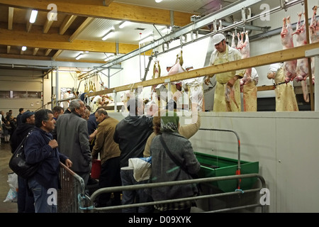 TRADITIONELLEN OPFER SCHAFE WÄHREND AID EL KEBIR FESTIVAL ERSTE DAY FEIERLICHKEITEN IN MUSLIMISCHEN GEMEINSCHAFT ENDE DES RAMADAN Stockfoto