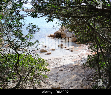 Weg zum Strand durch die vegetation Stockfoto