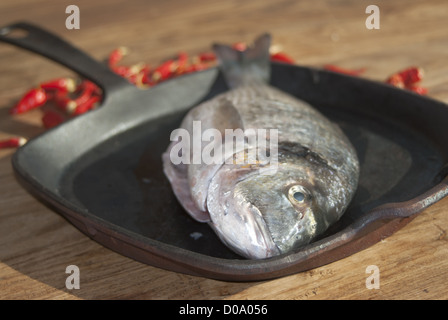 gegrillte Dorade eine typische mediterrane Fischgerichte Stockfoto