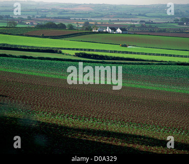 Kohl-Felder, Co. Down, Nordirland Stockfoto