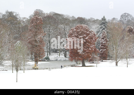 Aufnahmen im Schnee in Hampstead, North London. 1993 war das letzte Mal Großbritannien weit verbreitete Schnee im November sah. London, England- Stockfoto