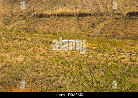 Blue Creek Ranch in Big Bend Nationalpark, TX Stockfoto