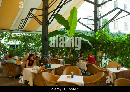 Österreich, Wien i., Stephansplatz 4, Gastgarten des Teehauses Haas & Haas Stockfoto