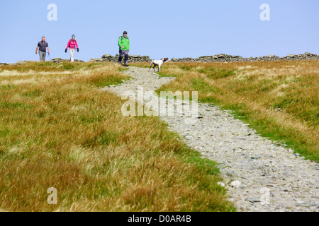 Drei Wanderer und ein Hund hinunter vom Gipfel des High Street im Lake District. Stockfoto