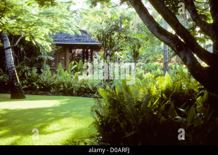 Figi Feb 1991 digitale Slide Konvertierungen Raymond Burr Orchid Nursery (Perry Mason Schauspieler) Stockfoto