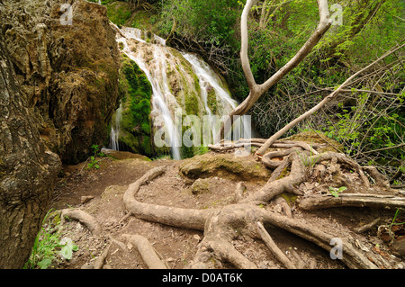 Schönen Fluss und Wasserfall im Wald Stockfoto