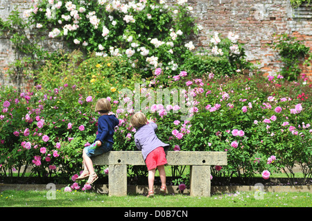 KLEINE MÄDCHEN IM ROSENGARTEN DES BEFESTIGTEN SCHLOSSES IN RAMBURES (14. UND 15. JAHRHUNDERT) SOMME (80) IN FRANKREICH Stockfoto