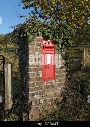 Einen ländlichen Briefkasten in der Nähe von Albury, Surrey, England. Stockfoto